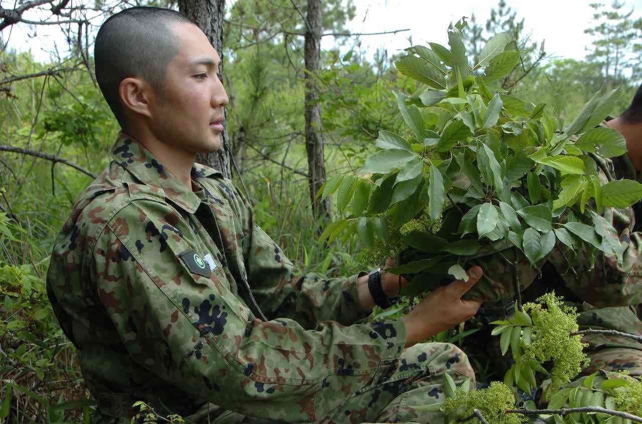 偽装58