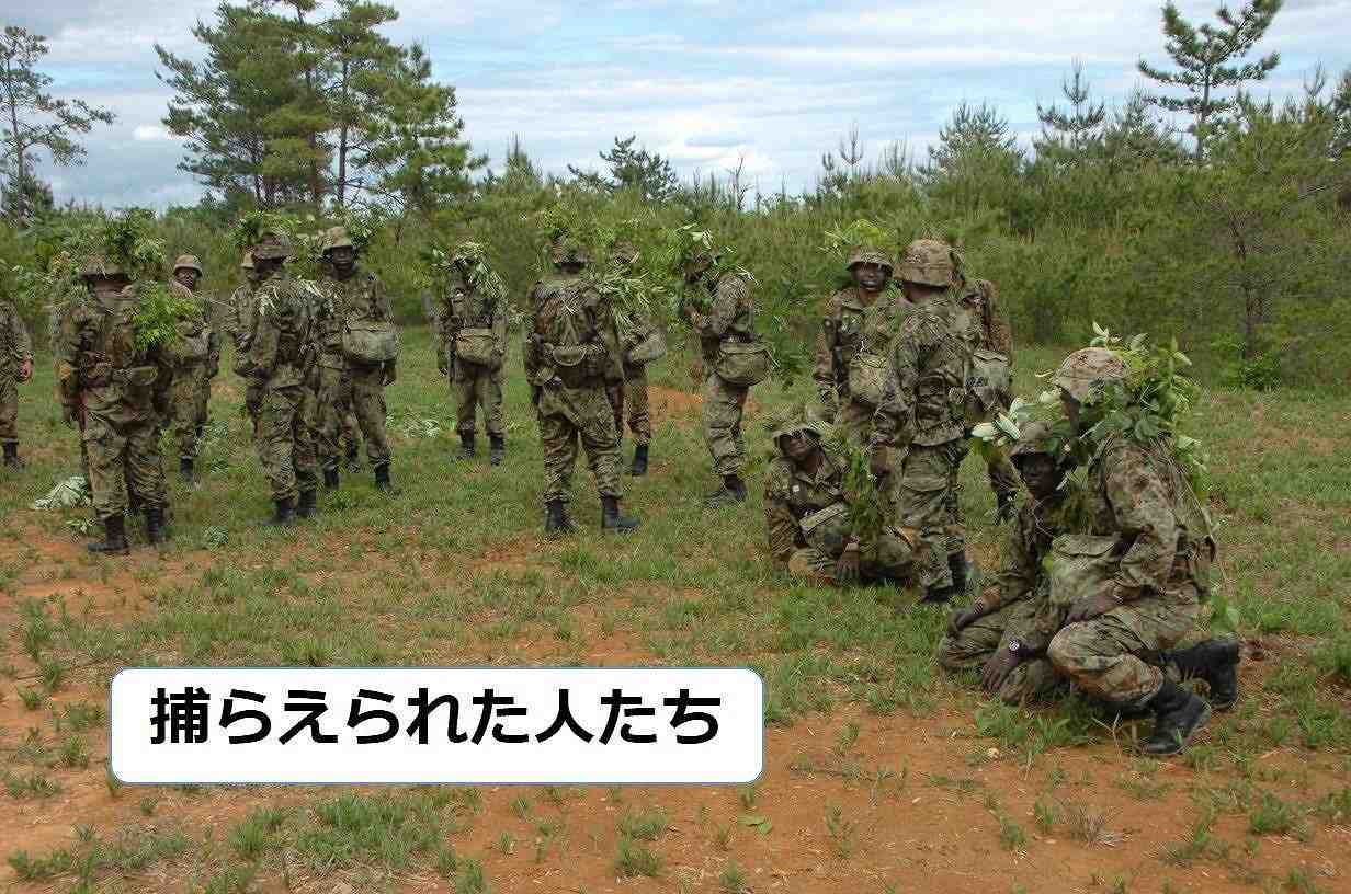 潜伏82