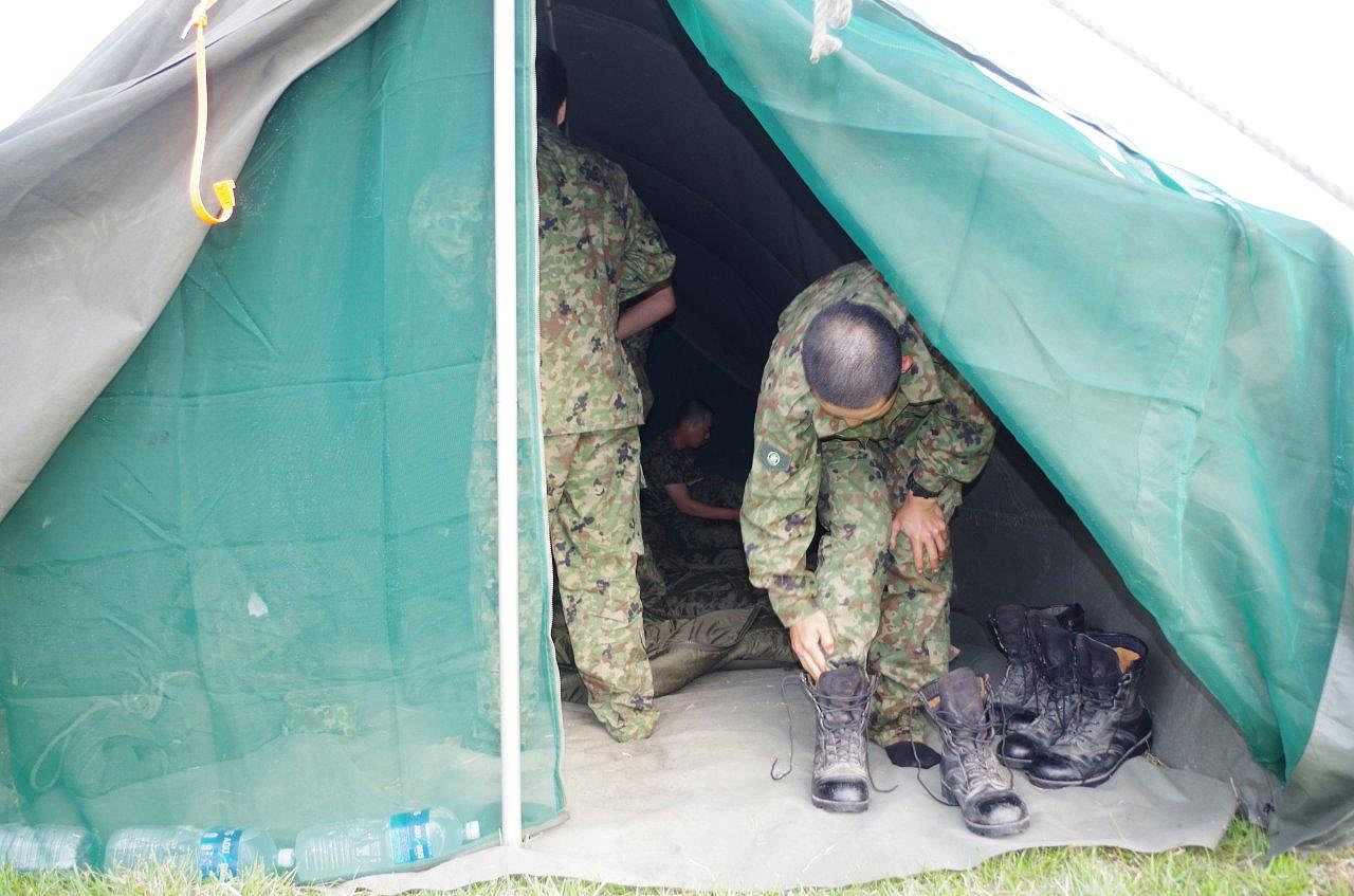呼集81