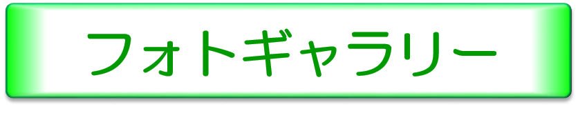 フォトギャラリー