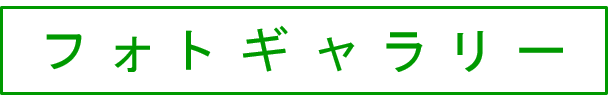 フォトギャラリー