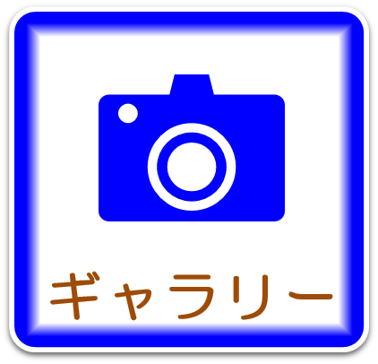 ギャラリー