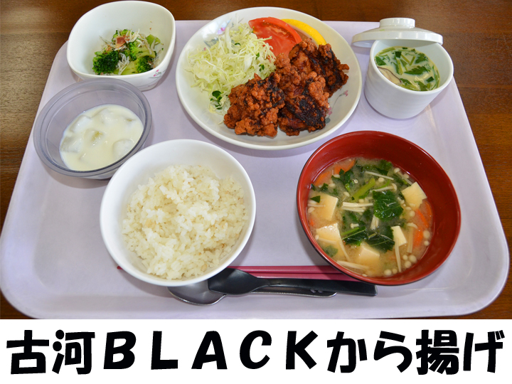 〇〇駐屯地の画像