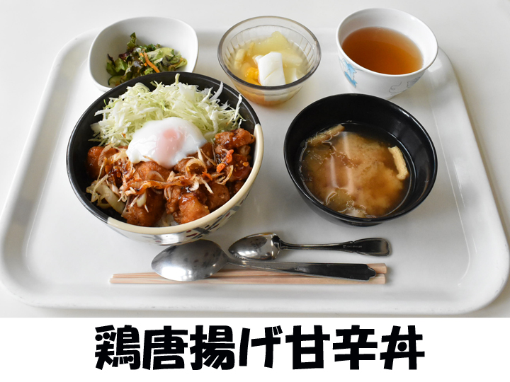 〇〇駐屯地の画像