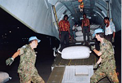 Movement Control operation in Mozambique (1993~1995)