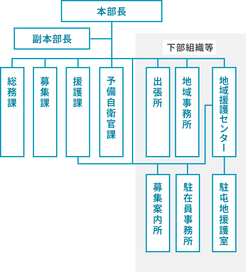 地方協力本部の組織図