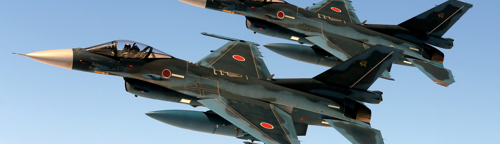 航空自衛隊 第202飛行隊 プラーク （第31教育飛行隊 (航空自衛隊