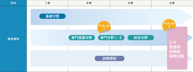 教育課程チャート図