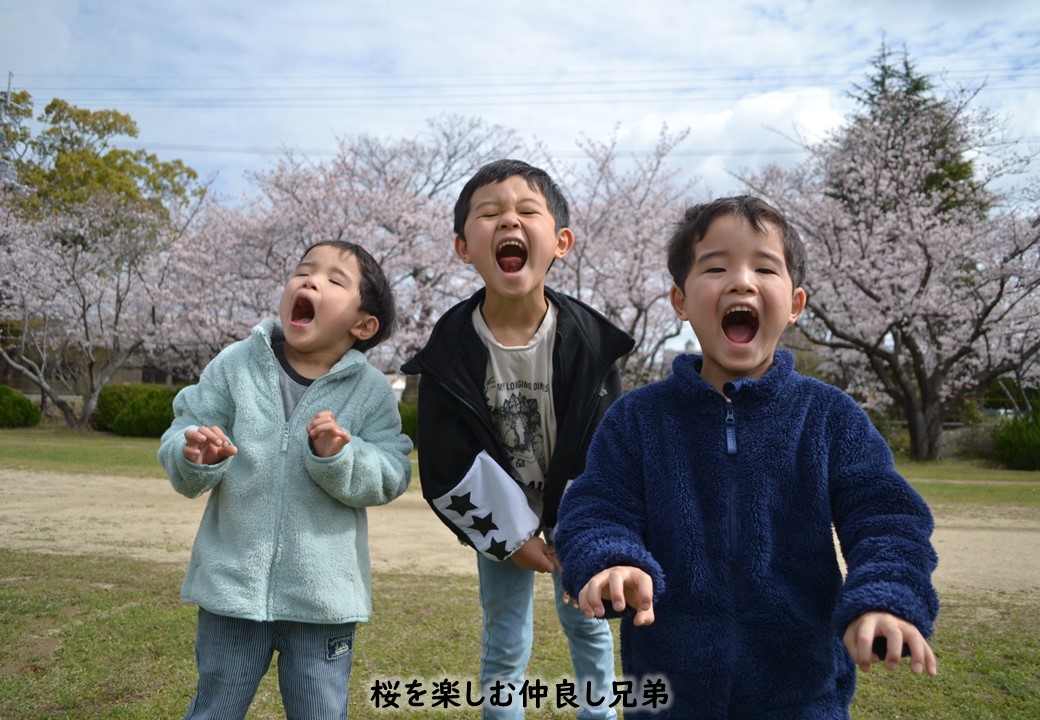 【🌸🌸🌸桜の一般開放🌸🌸🌸】