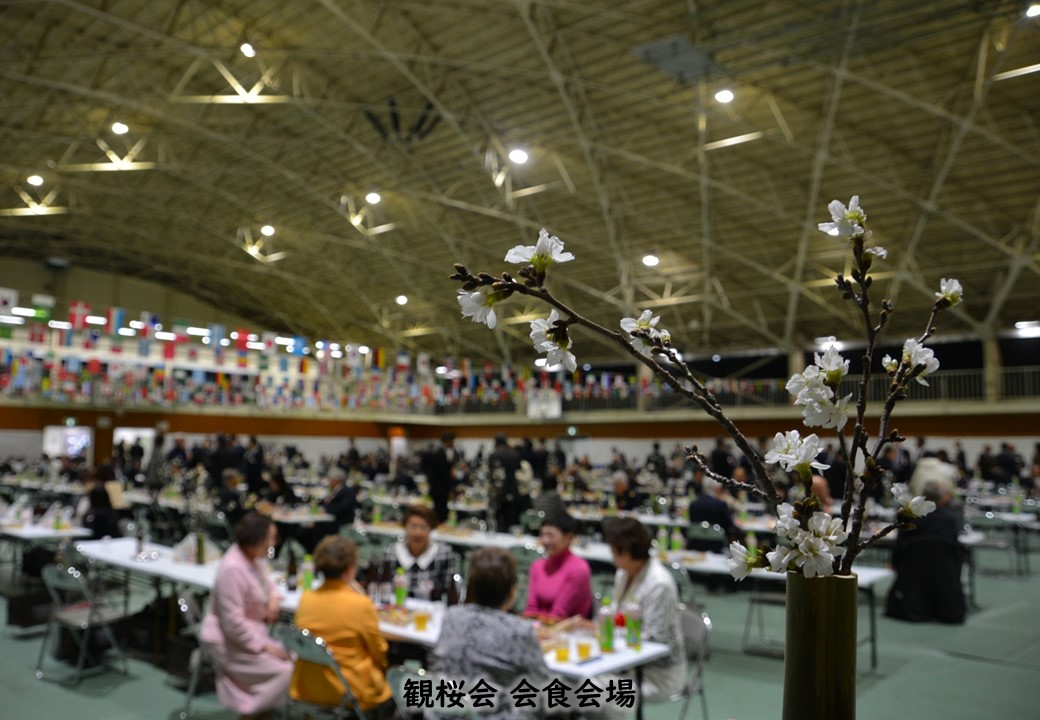 【観桜会】