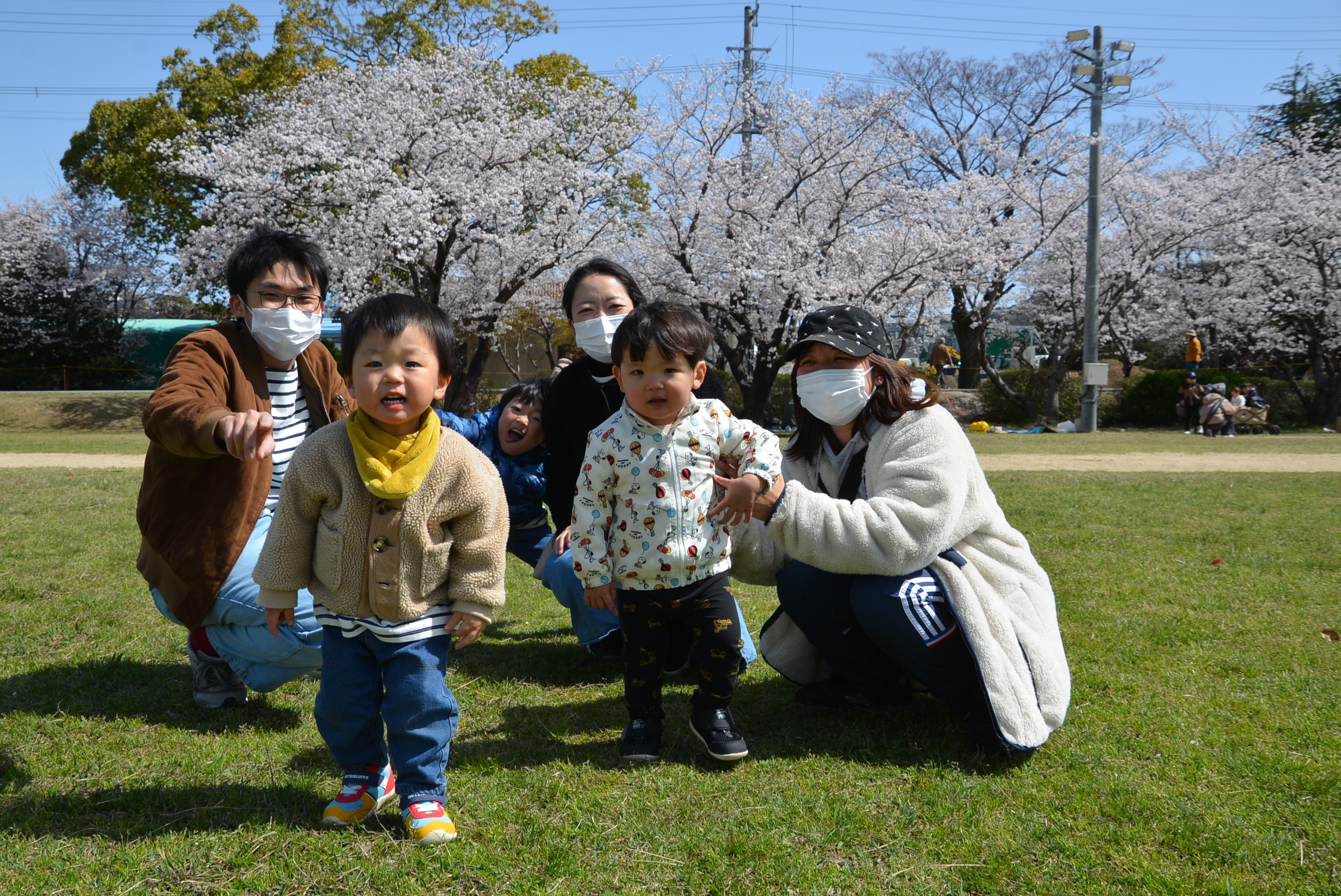 【桜の一般開放】