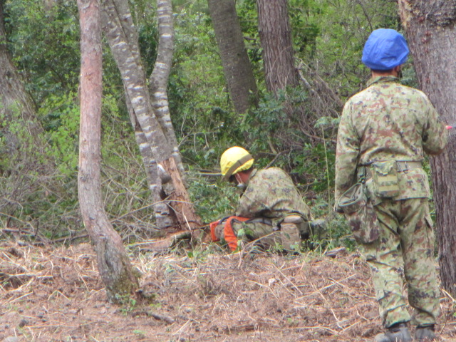 方面演習場整備「あいばの演習場」においてチェンソーを使用し木々を伐採する隊員の写真です。