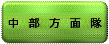 中部方面隊