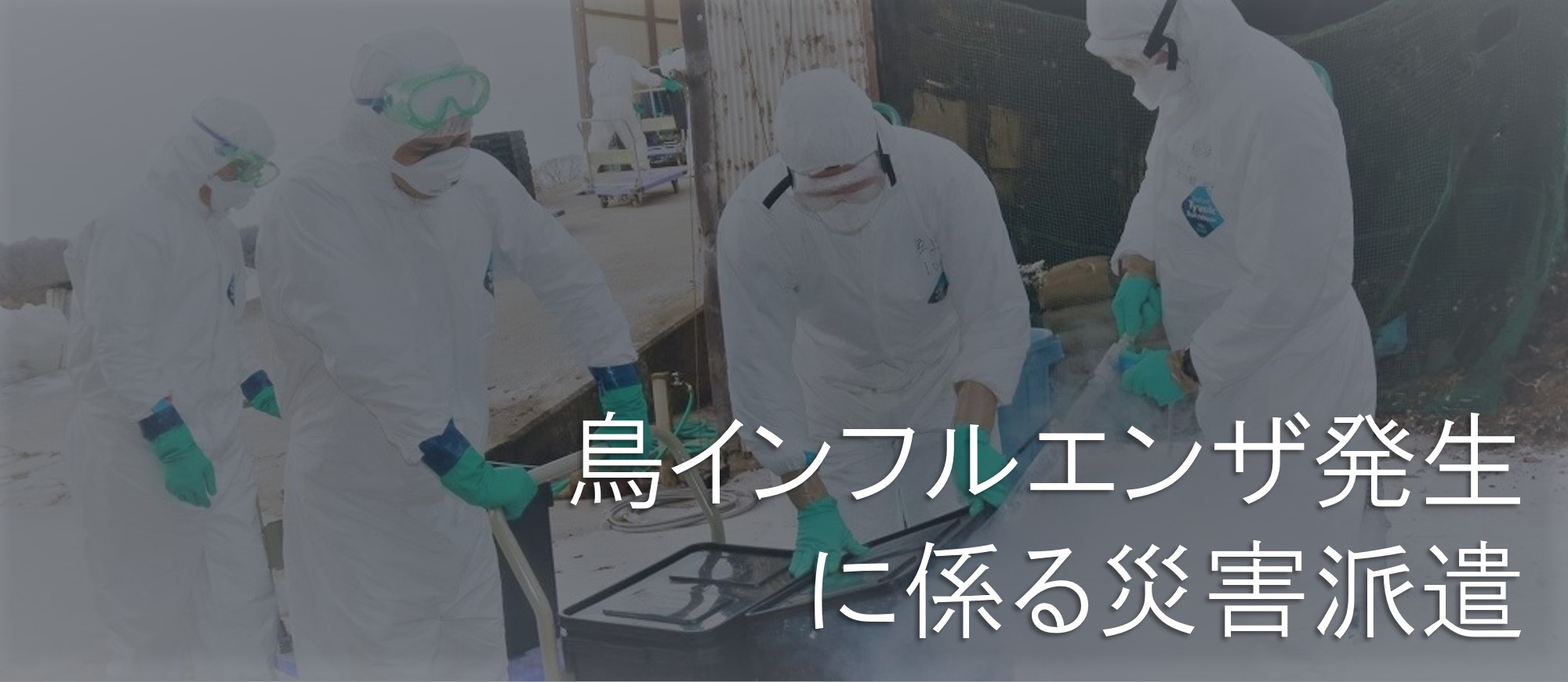 鳥インフルエンザ発生に係る災害派遣 トップ画像