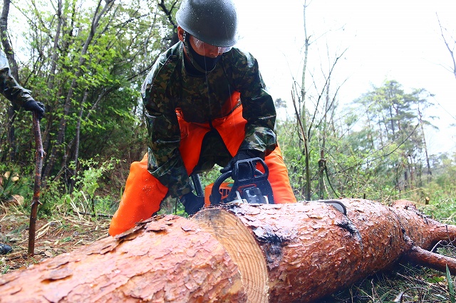 戦車視射界伐採整備(第13戦車中隊)