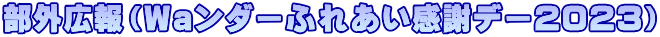���O�L��i�v�����_�[�ӂꂠ�����Ӄf�[�Q�O�Q�R�j