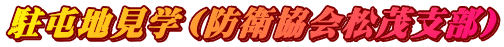 ���Ԓn���w�i�h�q����Ύx���j