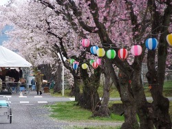 桂駐屯地_イベント