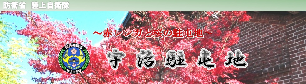�摜013