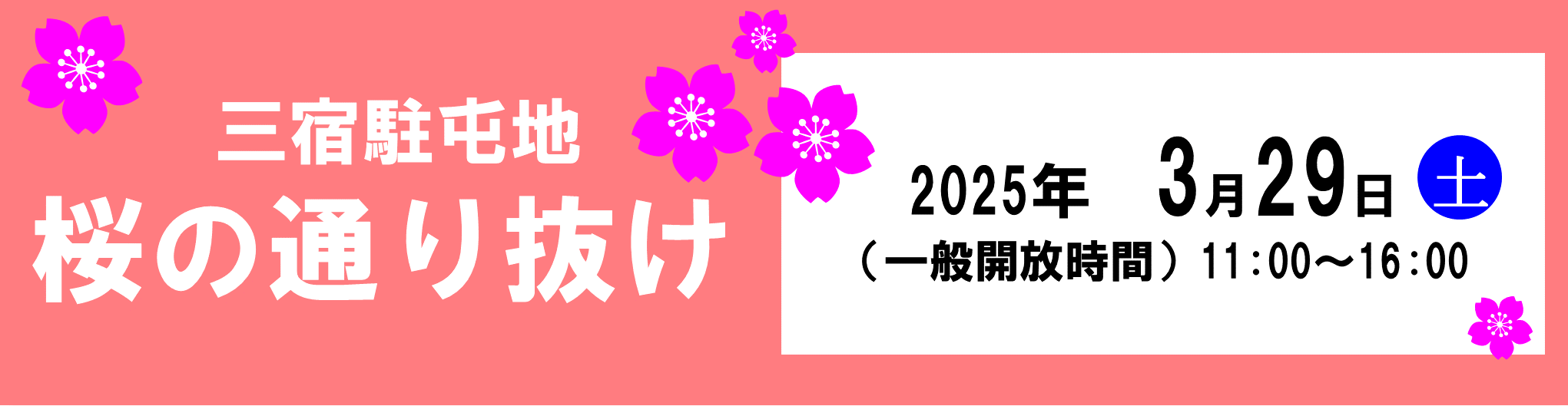 桜の通り抜け