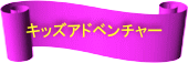�L�b�Y�A�h�x���`���[