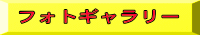フォトギャラリー 