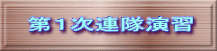 第１次連隊演習