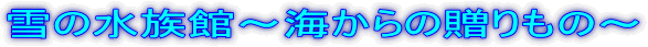 ��̐����ف`�C����̑�����́`