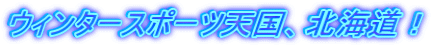 �E�B���^�[�X�|�[�c�V���A�k�C���I