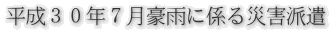 �����R�O�N�V�����J�ɌW��ЊQ�h��