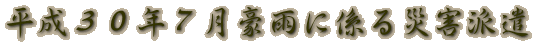�����R�O�N�V�����J�ɌW��ЊQ�h��