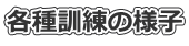 各種訓練の様子