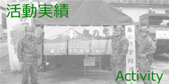 活動実績
