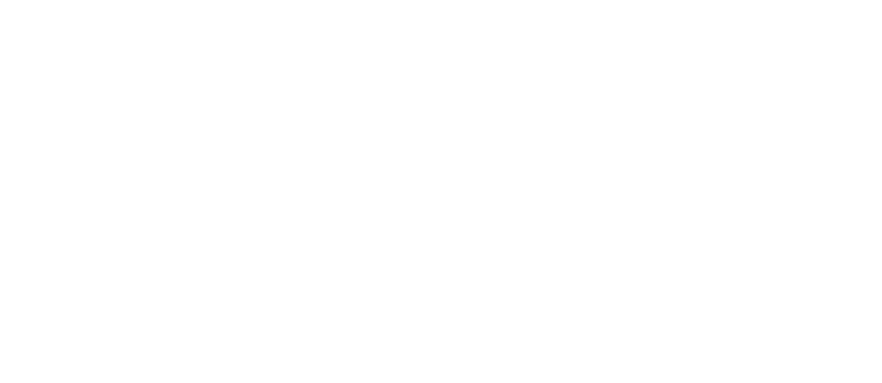 格闘徽章(上級指導官)