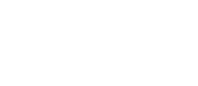 格闘徽章(上級指導官)