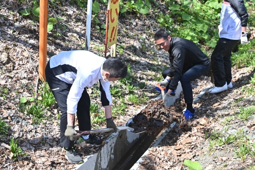 排水設備の落ち葉除去