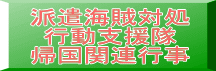 派遣海賊対処 行動支援隊 帰国関連行事