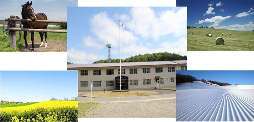 説明 説明 説明 D\Users\g1113778\Desktop\安平HP\abira.files\image006.png