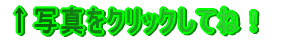 ʐ^NbNĂˁI 
