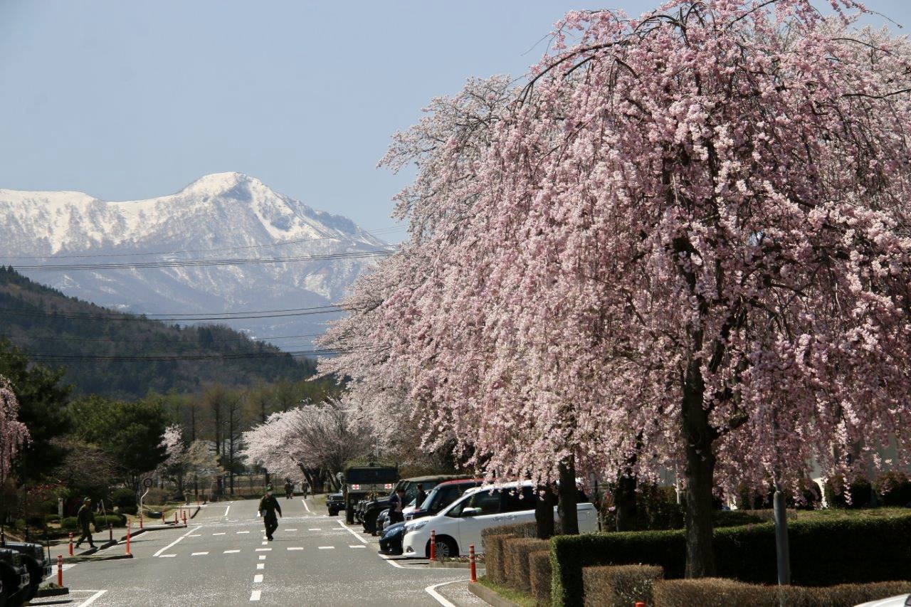 駐屯地紹介