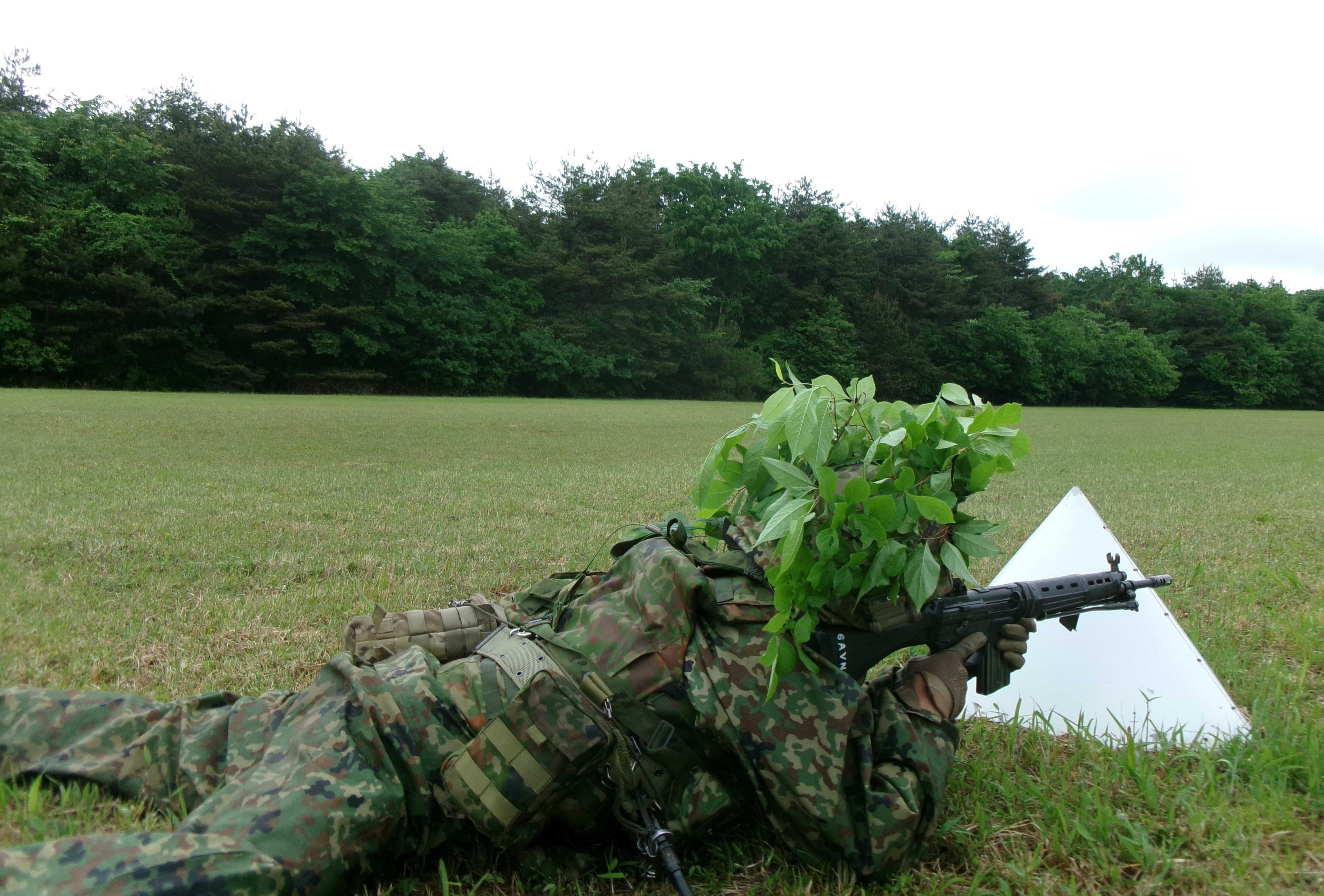活動写真