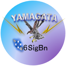 第６通信大隊