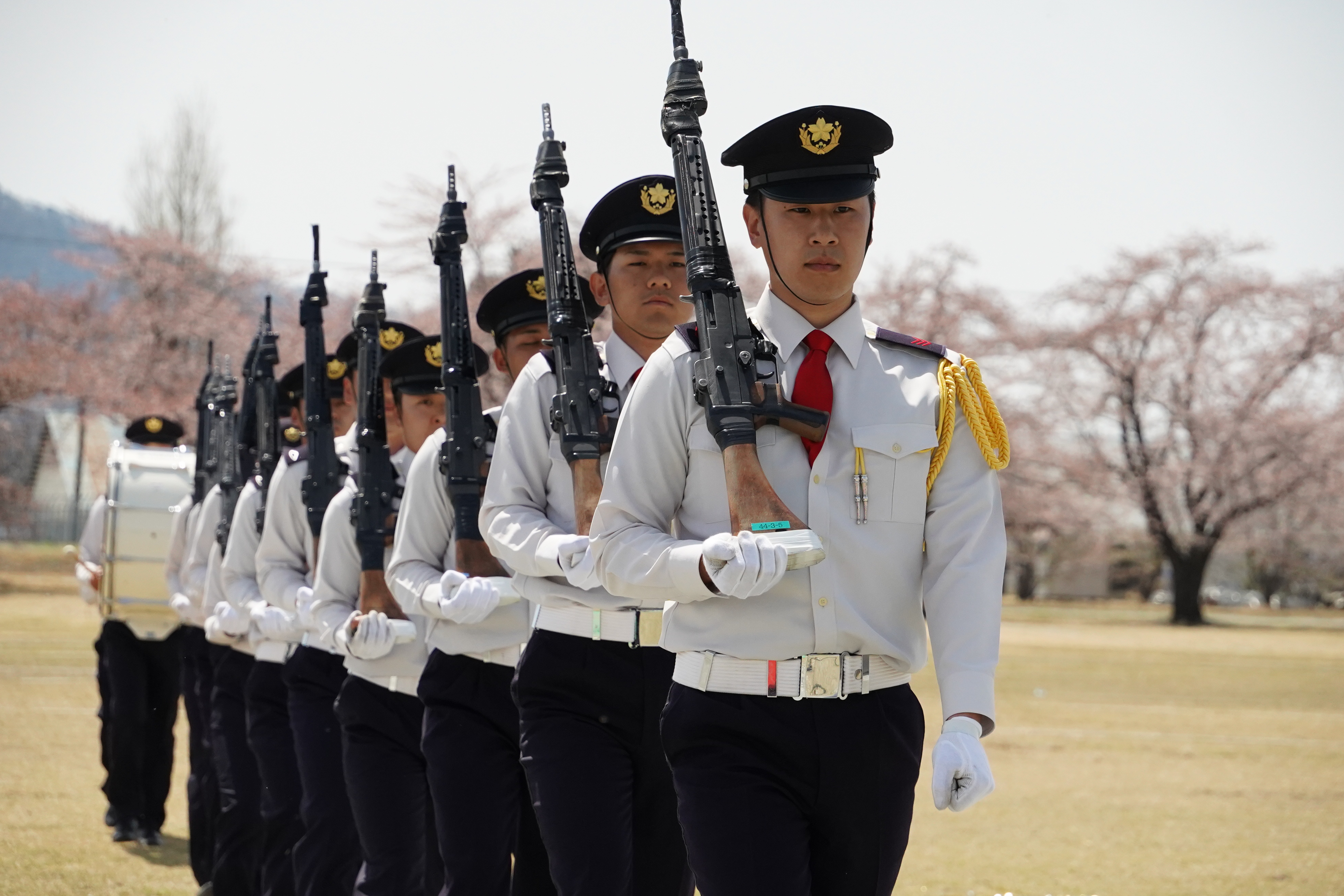 訓練展示