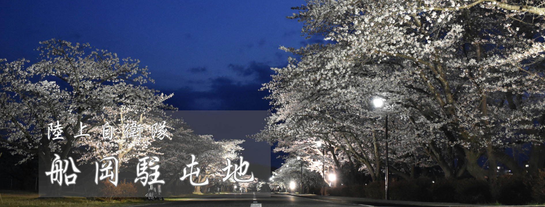 船岡駐屯地夜桜