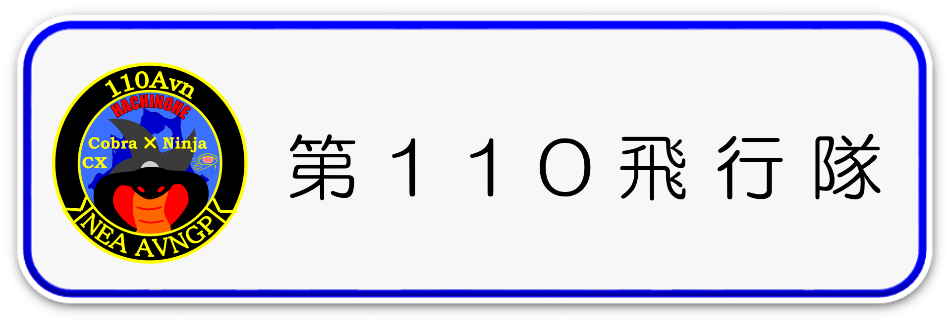第１１０飛行隊