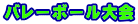 バレーボール大会