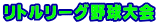 リトルリーグ野球大会