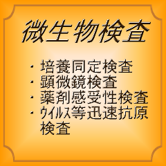 微生物検査