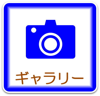フォトギャラリー
