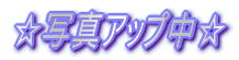 �ʐ^�A�b�v��
